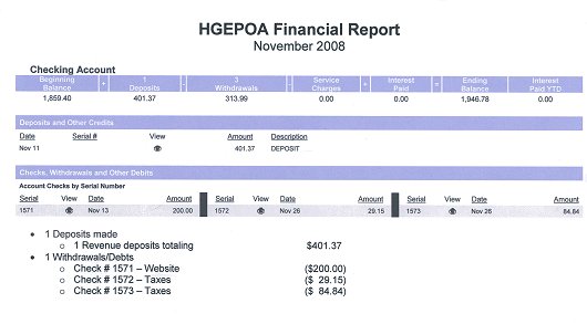 Financial Report - November 2008