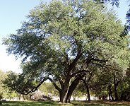 High Gabriel Park